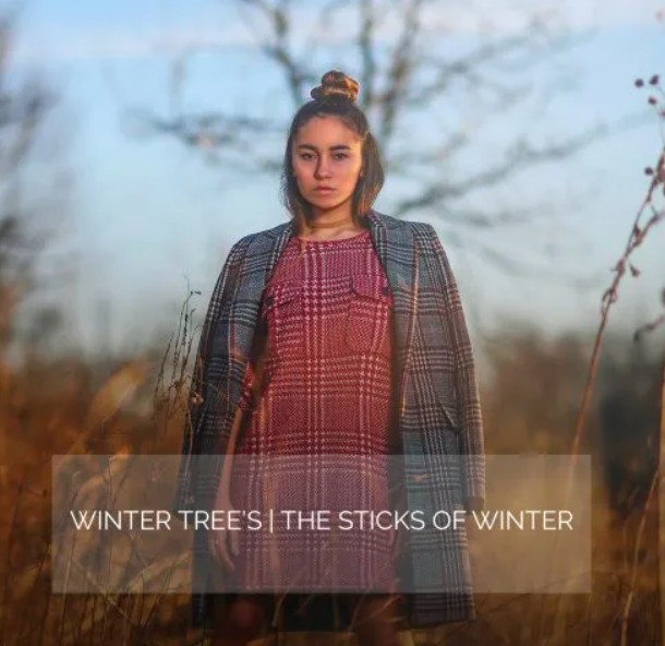 AwTeaches – Sticks of Winter