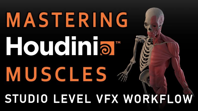 FlippedNormals – Mastering Houdini Muscles: A Studio Level VFX Workflow