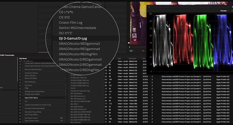 MixingLight – Resolve 17 Color Management Tips and Pat’s Revised Fixed Node Tree