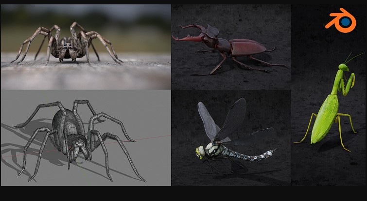 Blendermarket – Blender 2.81 – Insect And Spiders Creation Full Course