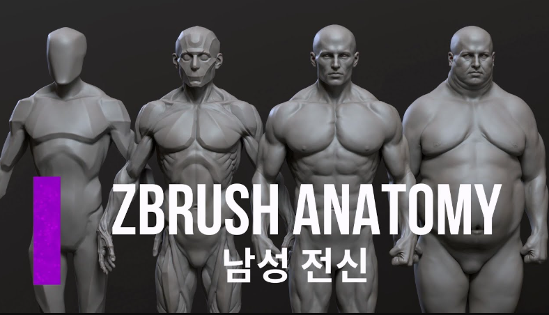 CGBump – Zbrush Senior Anatomy (Male)