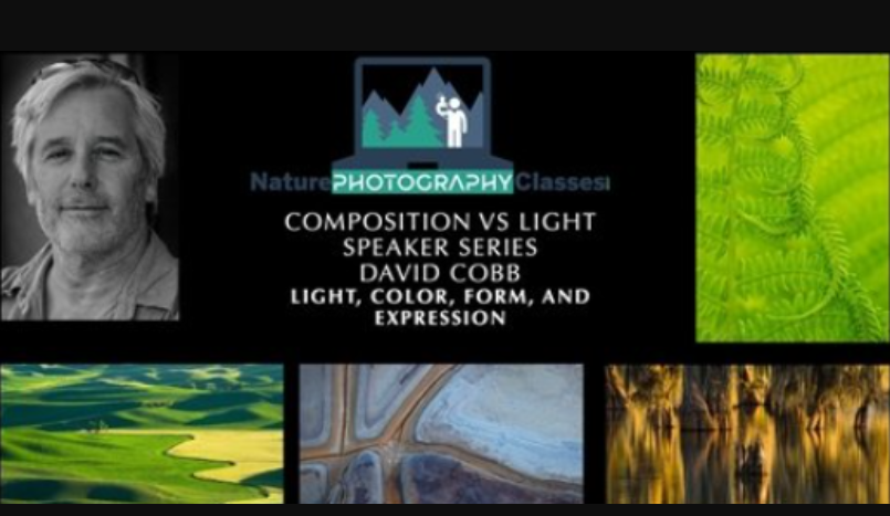 Nature Photography Classes – David Cobb – Light, Color, Form, and Expression