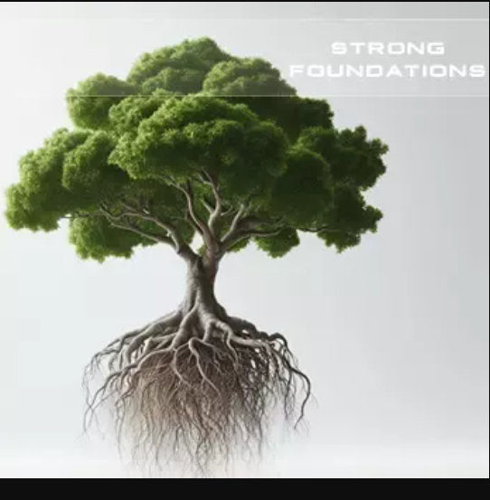 Soundsdivine Strong Foundations STUDIO ELECTRONICS SE-3X PRESETS