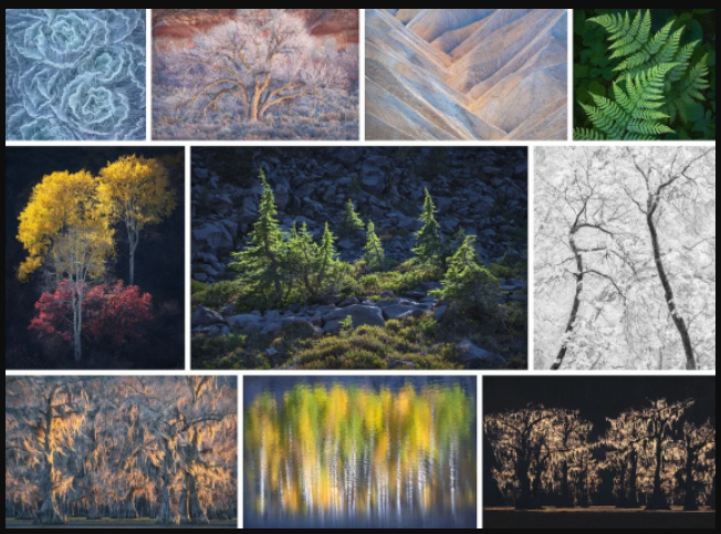 Alex Noriega Photography – Simplify Tutorial