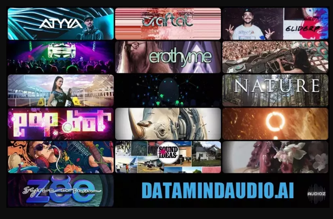 DataMind Audio Combobulator 51 Models Pack