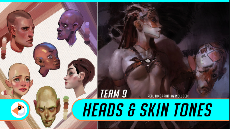Gumroad – Heads & Skin Tones (+ Full Real Time Painting)