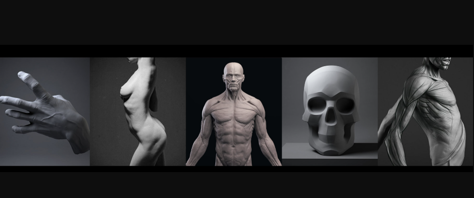 Mold 3D Academy – Artistic Anatomy – Daniel Crossland