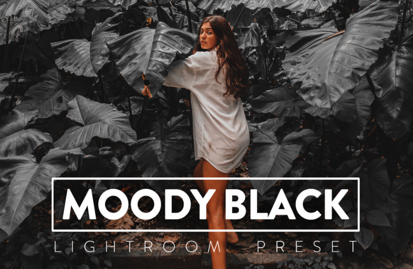 FilterGrade – 10 Moody Black Lightroom Preset